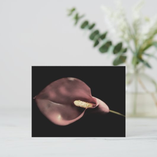 ピンクカラ – はがき (スタンド正面)