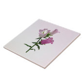 ピンクカンタベリーベル タイル (側面)