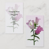 ピンクカンタベリーベル 名刺 (正面/裏面)