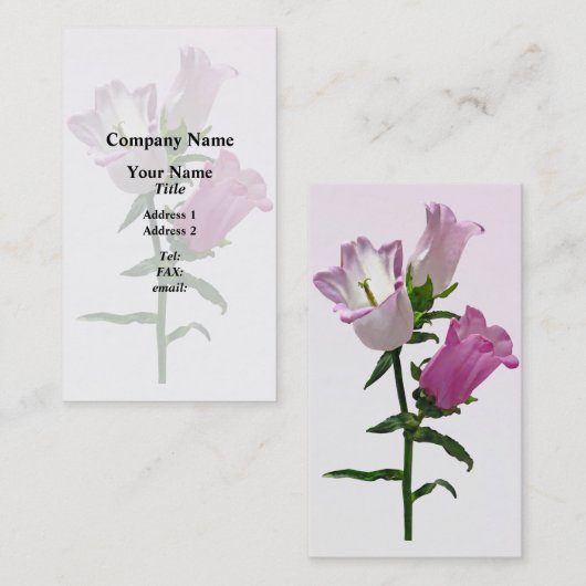 ピンクカンタベリーベル 名刺 (正面/裏面)