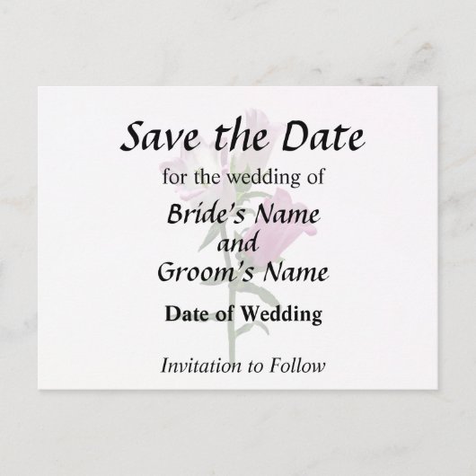 ピンクカンタベリーベル 案内ポストカード (正面)