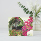 ピンクカーサカーポート、モライラ、コスタブランカの花 ポストカード (スタンド正面)