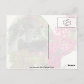 ピンクカーサカーポート、モライラ、コスタブランカの花 ポストカード (裏面)