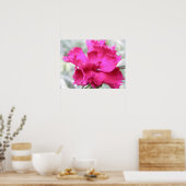 ピンクカーネーションプリント ポスター (キッチン)