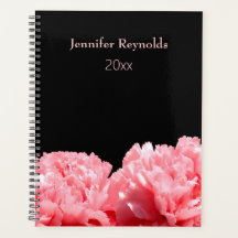 ピンクカーネーション個人