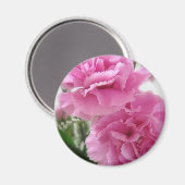 ピンクカーネーション1 マグネット (正面/裏面)