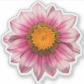 ピンクガザニア宝花の花 シール (正面)