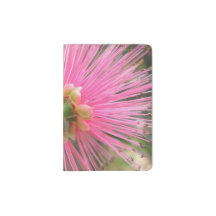 ピンクガムツリーの花