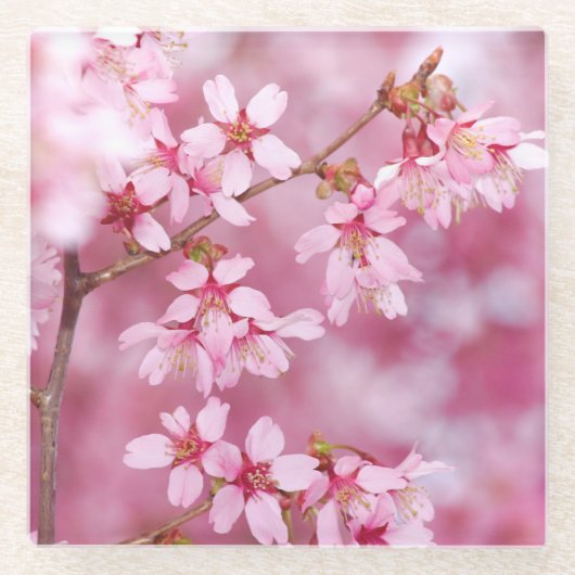 ピンクガラスコスター ガラスコースター (正面)