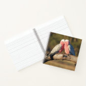 ピンクガラ ノートブック (内部)