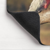 ピンクガラ マウスパッド (コーナー)