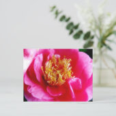 ピンクガーデニアマクロポストカード ポストカード (スタンド正面)