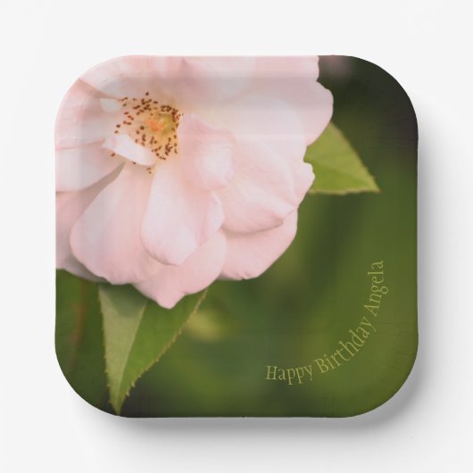 ピンクガーデンバラスクエアデザイナー紙プレート ペーパープレート (正面)