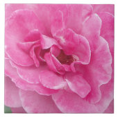 ピンクガーデンバラ大 タイル (正面)