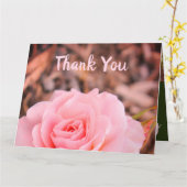 ピンクガーデンバラ カード (黄色い花)