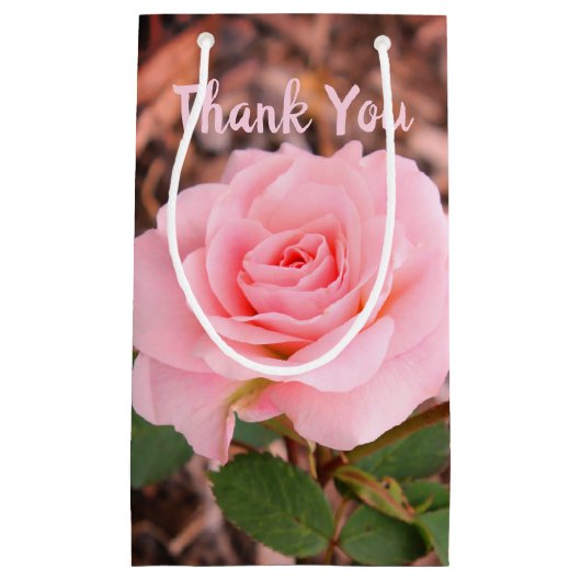 ピンクガーデンバラ スモールペーパーバッグ (正面)