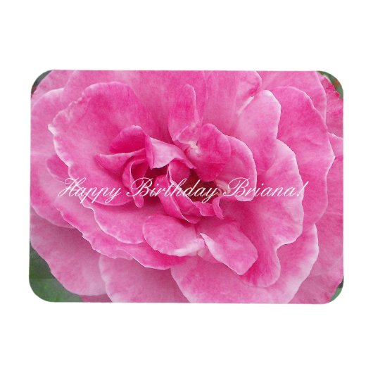 ピンクガーデンバラ マグネット (横)