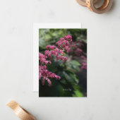 ピンクガーデンフラワー ノートカード (正面/裏面インサイチュ)