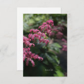 ピンクガーデンフラワー ノートカード (正面/裏面)