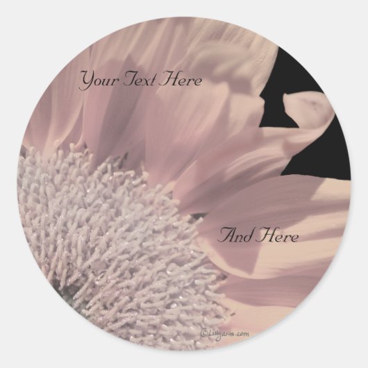 ピンクガーベラカスタム封筒用シール ラウンドシール (正面)