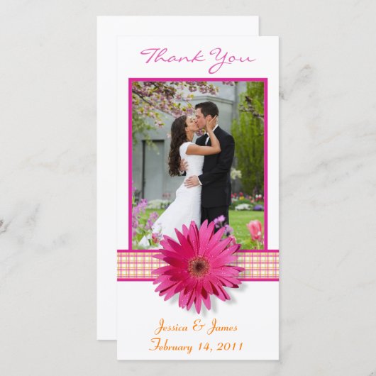 ピンクガーベラデイジーのプレイド結婚リボンありがとう サンキューカード (正面/裏面)