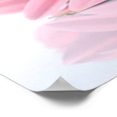 ピンクガーベラデイジーエレガント写真 ポスター (角)