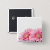 ピンクガーベラデイジーエレガント写真 缶バッジ (正面&裏面)