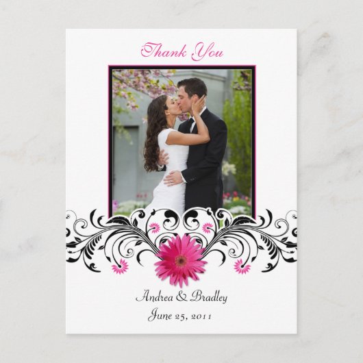 ピンクガーベラデイジーサンキューハガキ ポストカード (正面)