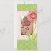 ピンクガーベラデイジー写真誕生発表 案内状 (正面)