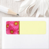 ピンクガーベラデイジー ラベル (インサイチュ)