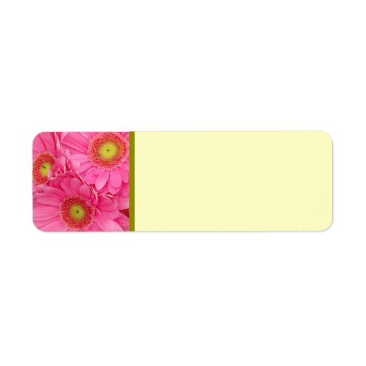 ピンクガーベラデイジー ラベル (正面)