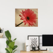 ピンクガーベラデイジー – 写真プリント ポスター (ホームオフィス)