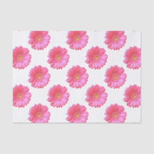 ピンクガーベラデイジー 薄葉紙 (正面)