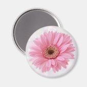 ピンクガーベラ冷蔵庫用マグネット マグネット (正面/裏面)