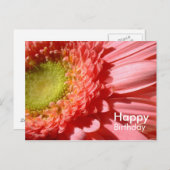 ピンクガーベラ – ハッピーバースデー ポストカード (正面/裏面)