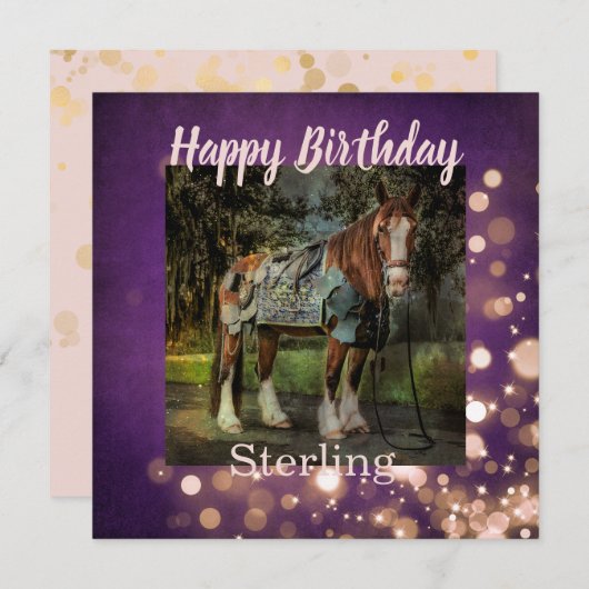 ピンクガーリーと紫のグリッターホース誕生日 カード (正面/裏面)
