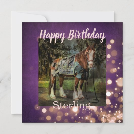 ピンクガーリーと紫のグリッターホース誕生日 カード (正面)