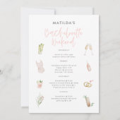 ピンクガーリーのシャンパンシックなバチェロレッテの旅程a 案内状 (裏面)