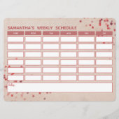 ピンクガーリーウィークリースケジュールスクールタイムテーブル (正面)