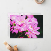 ピンクガーリー春の花自然 ノートカード (正面/裏面インサイチュ)