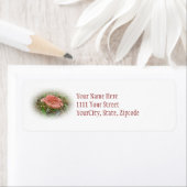 ピンクキノコ調整アイテムラベル ラベル (インサイチュ)