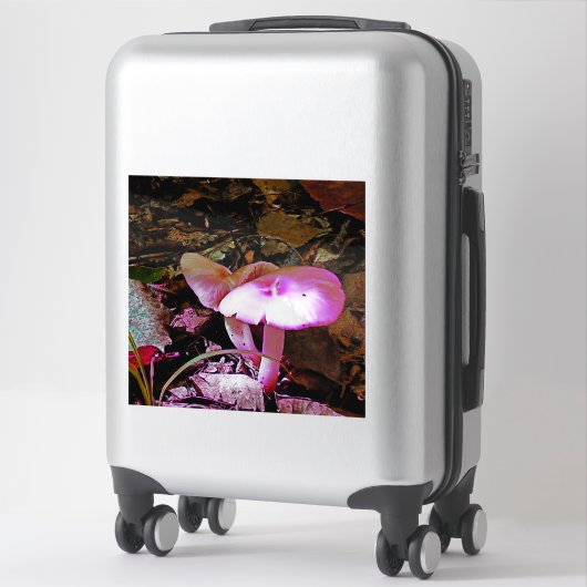 ピンクキノコ シール (スーツケース)
