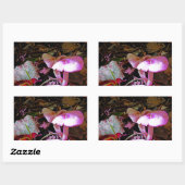 ピンクキノコ 長方形シール (シート)