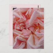 ピンクキャベツバラヴィンテージ花誕生日カードマ ポストカード (正面/裏面)