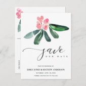 ピンクキリストとげの開花水の色は、日付を保存 案内ポストカード (正面/裏面)