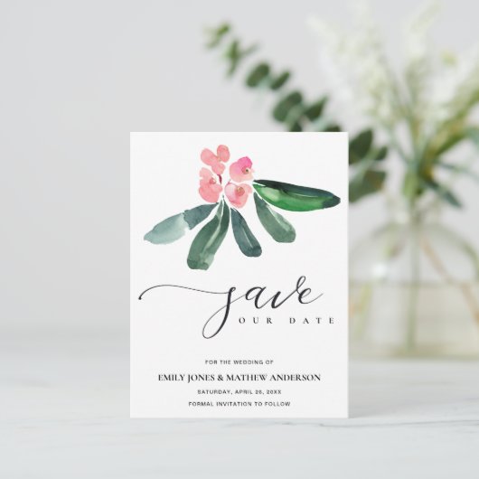 ピンクキリストとげの開花水の色は、日付を保存 案内ポストカード (スタンド正面)