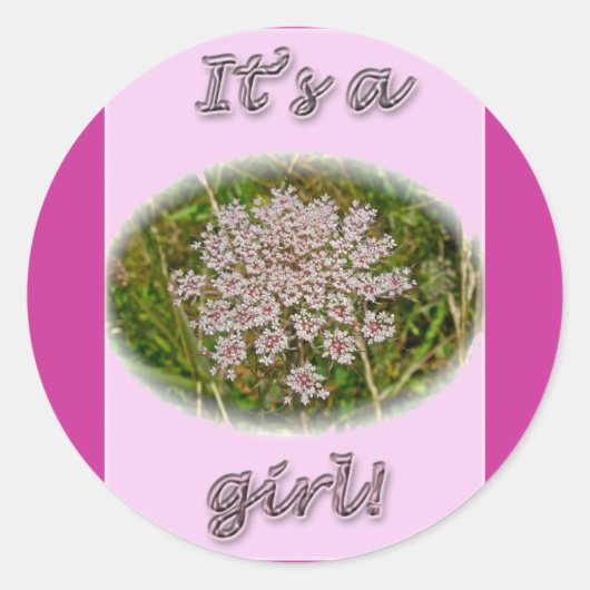 ピンククイーンアンズレースその女の子の新生児シール ラウンドシール (正面)