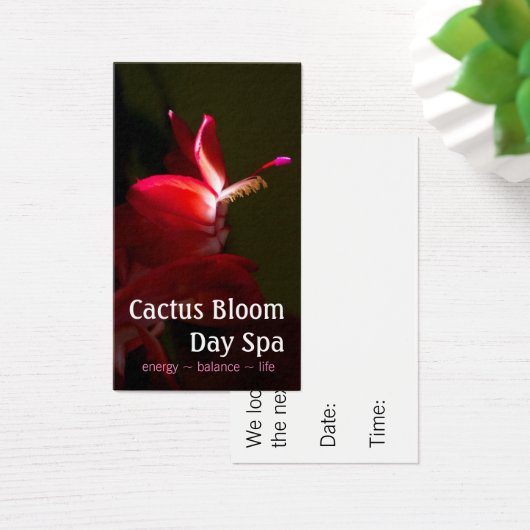 ピンククリスマスカッティ開花写真 (デスク)