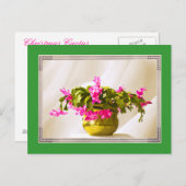 ピンククリスマスサボテンポートレート シーズンポストカード (正面/裏面)