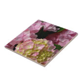 ピンククリームアジサイ黄色ピンクグリーンフローラ タイル (側面)